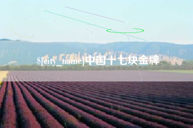 阜宁中国十七块金牌
