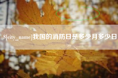 阜宁我国的消防日是多少月多少日