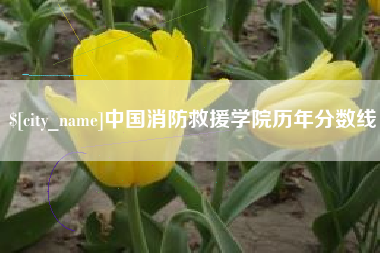 阜宁中国消防救援学院历年分数线