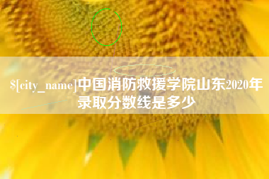 阜宁中国消防救援学院山东2020年录取分数线是多少 阜宁中国消防救援学院山东2020年录取分数线是多少