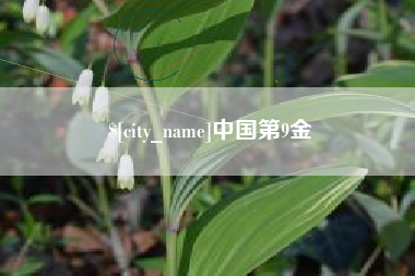 阜宁中国第9金