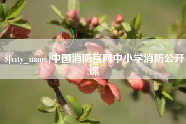 阜宁中国消防官网中小学消防公开课