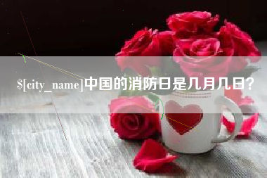阜宁中国的消防日是几月几日？