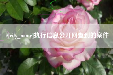 阜宁执行信息公开网查到的案件
