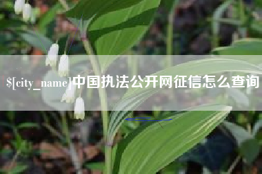 阜宁中国执法公开网征信怎么查询