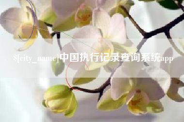 阜宁中国执行记录查询系统app