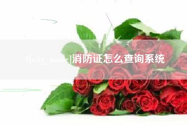阜宁消防证怎么查询系统