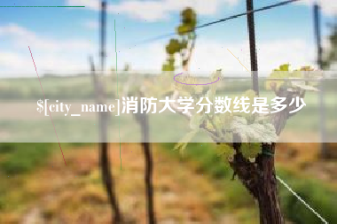 阜宁消防大学分数线是多少