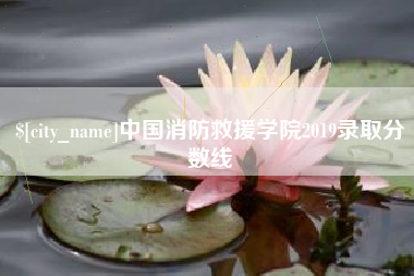 阜宁中国消防救援学院2019录取分数线