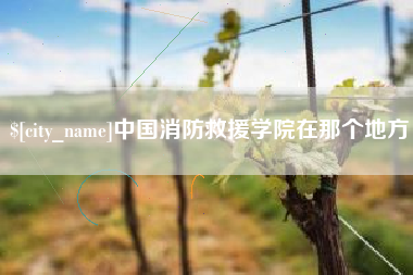 阜宁中国消防救援学院在那个地方