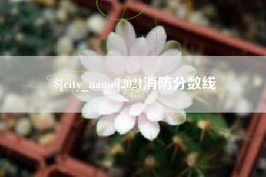 阜宁2021消防分数线