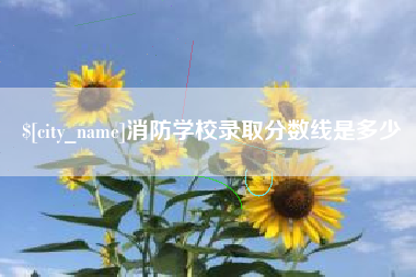 阜宁消防学校录取分数线是多少