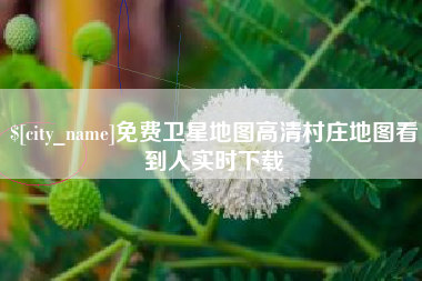 阜宁免费卫星地图高清村庄地图看到人实时下载