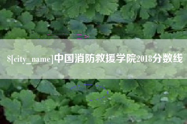 阜宁中国消防救援学院2018分数线