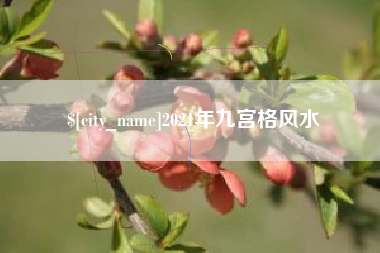 阜宁2021年九宫格风水