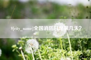 阜宁全国消防日是第几天？