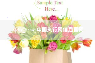 阜宁中国执行网信息官网