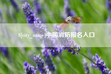 阜宁中国消防报名入口