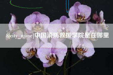 阜宁中国消防救援学院是在哪里