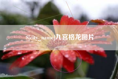 阜宁九宫格龙图片