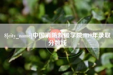 阜宁中国消防救援学院2019年录取分数线