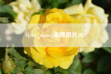 阜宁金牌图片2021