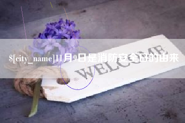 阜宁11月9日是消防安全日的由来