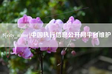 阜宁中国执行信息公开网平台维护