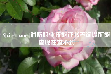 阜宁消防职业技能证书查询以前能查现在查不到