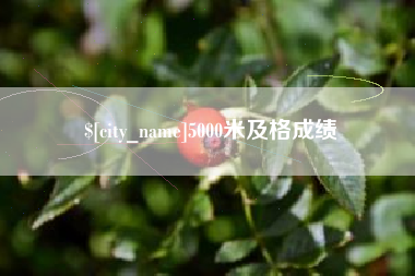 阜宁5000米及格成绩
