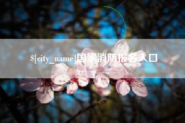 阜宁国家消防报名入口