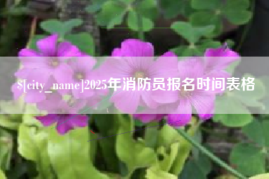阜宁2025年消防员报名时间表格