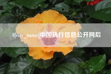 阜宁中国执行信息公开网后