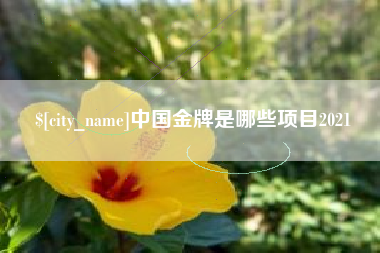 阜宁中国金牌是哪些项目2021