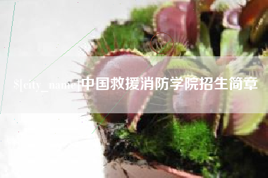 阜宁中国救援消防学院招生简章