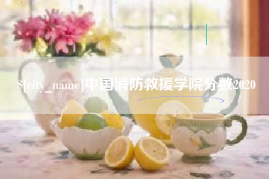 阜宁中国消防救援学院分数2020