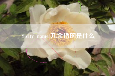 阜宁九金指的是什么
