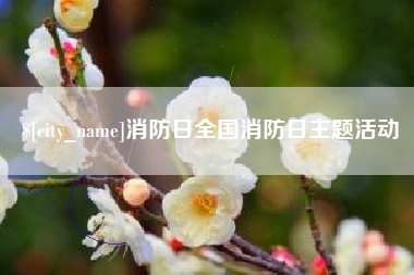 阜宁消防日全国消防日主题活动