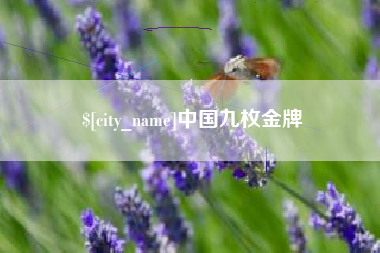 阜宁中国九枚金牌