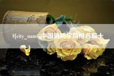 阜宁中国消防学院排名前十