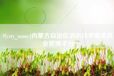 阜宁内蒙古自治区消防技术服务执业管理平台