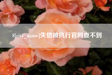 阜宁失信被执行官网查不到