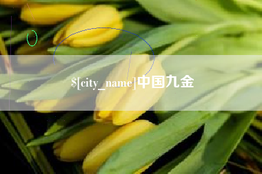 阜宁中国九金