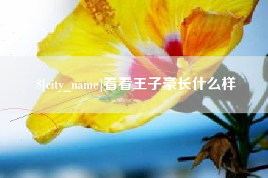 阜宁看看王子豪长什么样