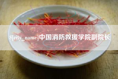 阜宁中国消防救援学院副院长