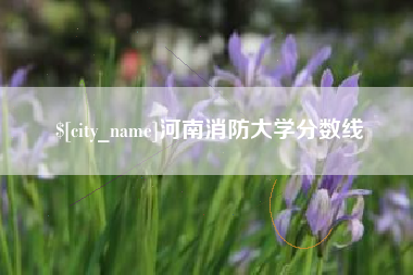 阜宁河南消防大学分数线