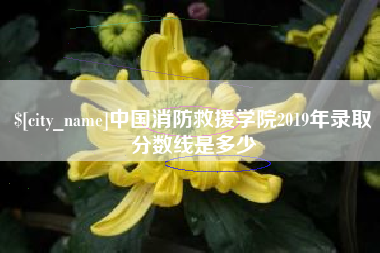 阜宁中国消防救援学院2019年录取分数线是多少