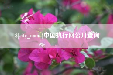 阜宁中国执行网公开查询