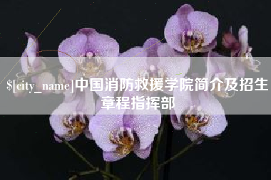 阜宁中国消防救援学院简介及招生章程指挥部