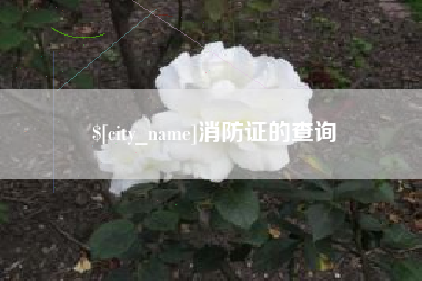 阜宁消防证的查询